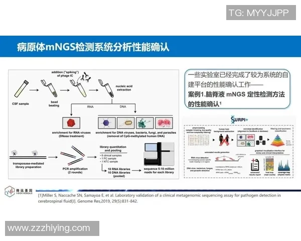 杭州乒乓球队转型之路的成功与挑战分析