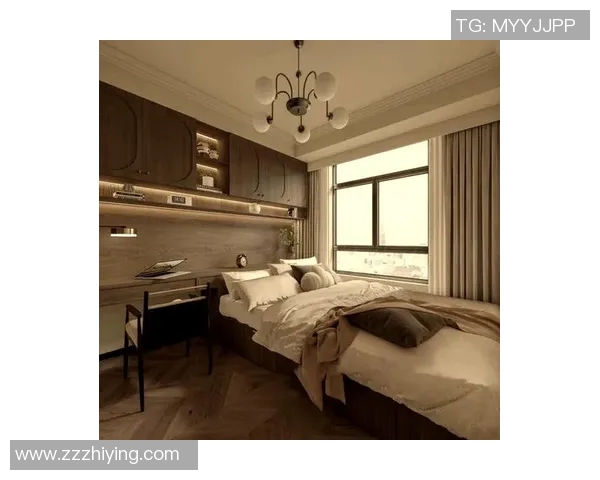 欧式家居设计风格解析与空间布置技巧，打造优雅舒适的家居环境